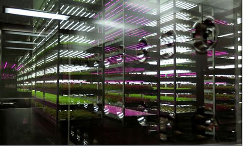 科技賦能，綠色未來 2018中國國際植物工廠及農(nóng)業(yè)照明博覽會(huì)即將在滬開幕